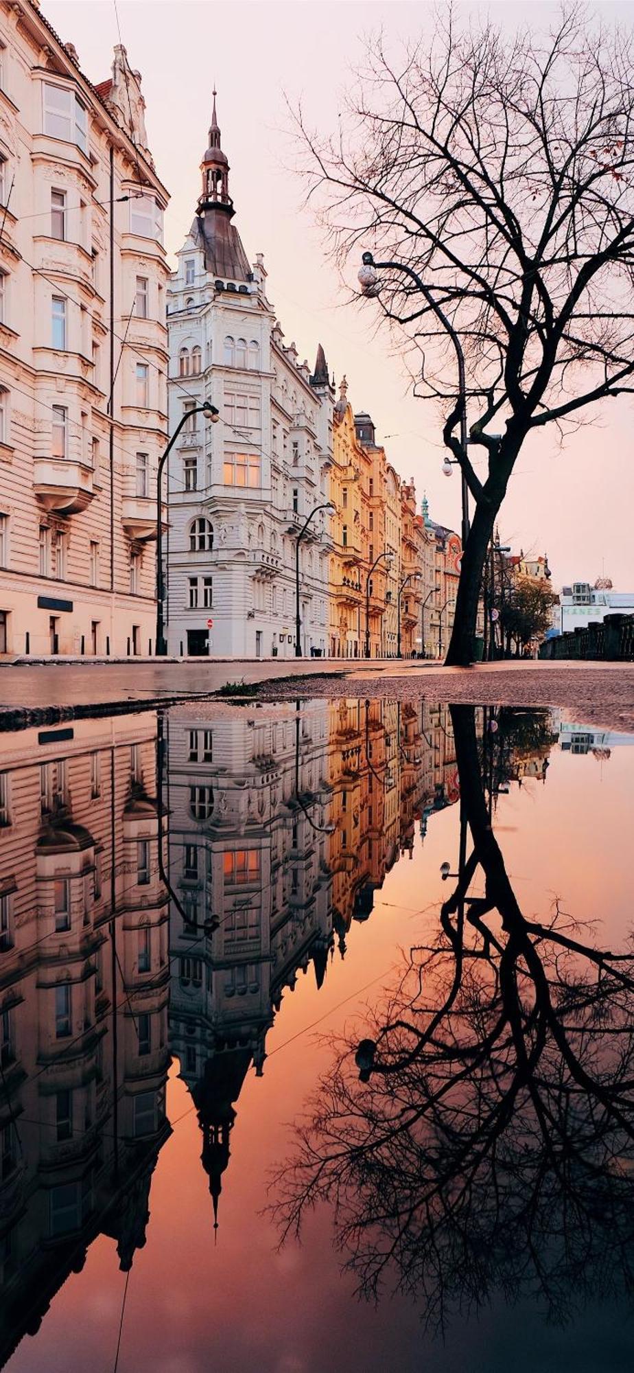 Apartmán Center Of 369 Prague